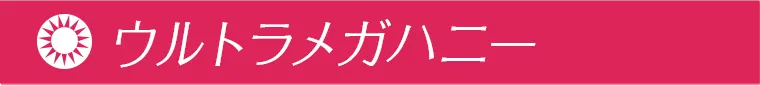 ウルトラメガハニー